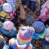 02 Aktion Februar 25 Tiere im Winterwald